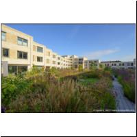 2025-09-08 Nieuw Delft, PoortMeesters 06.jpg